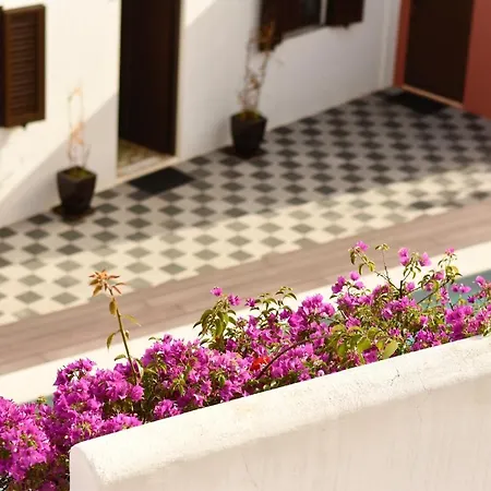 Casa Malpique 3* Αλμπουφέιρα