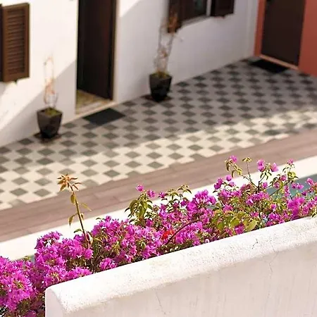 Casa Malpique Albufeira