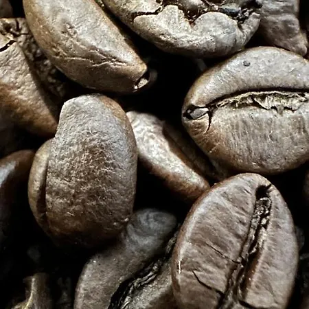 Casa Malpique 3* Албуфейра